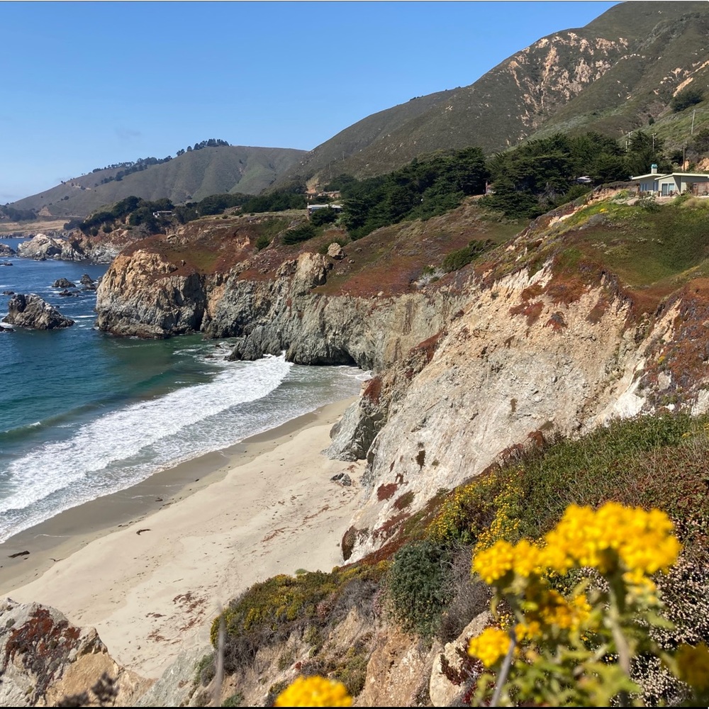 Meet your Posher, Judy